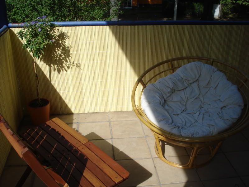 balkongestaltung :-) - Seite 11